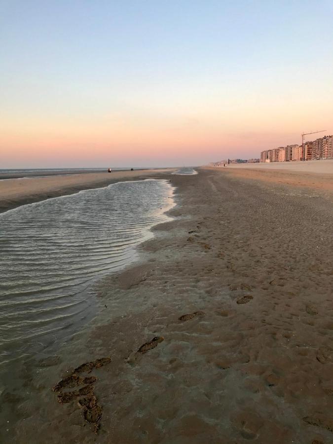 Happy Stay By Anais - 20M To Beach De Panne Eksteriør billede